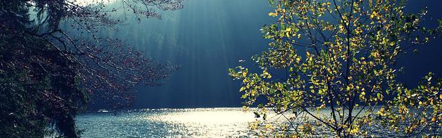 上門龍婿葉辰蕭初然_第1300章 惺惺相惜