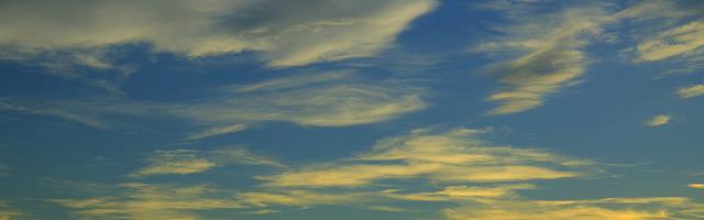 上門龍婿葉辰蕭初然_第312章 早知今日，何必當初？