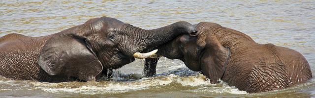 上門龍婿葉辰蕭初然_第3258章 讓她好好看個清楚