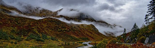 上門龍婿葉辰蕭初然_第1160章 不要再找了