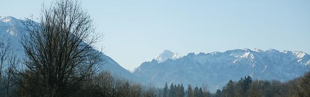 上門龍婿葉辰蕭初然_第2736章 利用