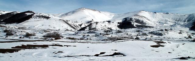 上門龍婿葉辰蕭初然_第250章 開價一百億！