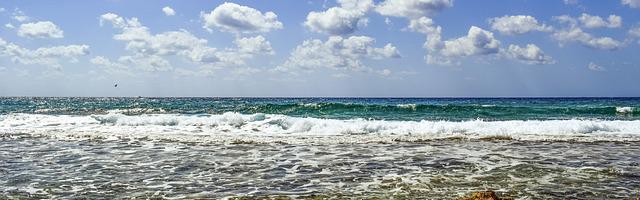 上門龍婿葉辰蕭初然_第61章 到手！