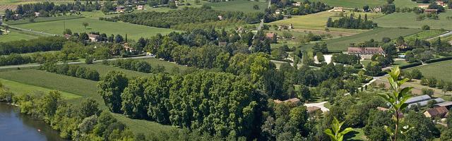 上門龍婿葉辰蕭初然_第340章 不許任何人折辱葉大師