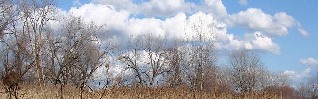 上門龍婿葉辰蕭初然_第3248章 現在知道怕了？