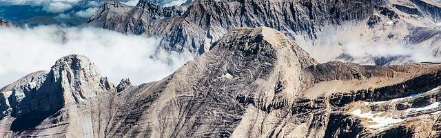上門龍婿葉辰蕭初然_第179章 心懷不軌