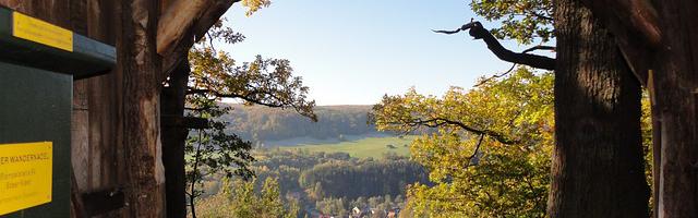 上門龍婿葉辰蕭初然_第515章 全速進發！