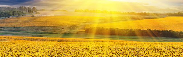 上門龍婿葉辰蕭初然_第902章 京都到底出什么事了？