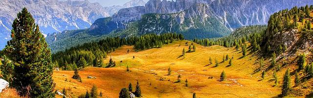 上門龍婿葉辰蕭初然_第240章 你餓幾天了？