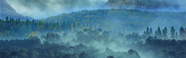 上門龍婿葉辰蕭初然_第119章 王道坤請客