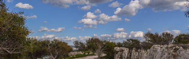 上門龍婿葉辰蕭初然_第2698章 很可能是在說謊！