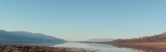 上門龍婿葉辰蕭初然_第2867章 不要低估求生欲