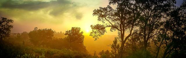 上門龍婿葉辰蕭初然_第2878章 逐步讓他知曉