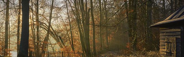 上門龍婿葉辰蕭初然_第2527章 誘敵深入