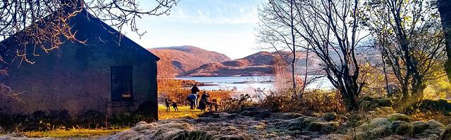 上門龍婿葉辰蕭初然_第165章 再嘰歪連你一起殺