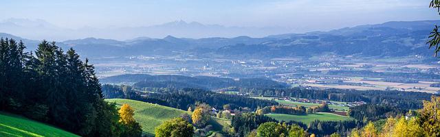 上門龍婿葉辰蕭初然_第3109章 狠狠的叼他！