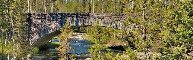 上門龍婿葉辰蕭初然_第366章 有我在，你死不了！