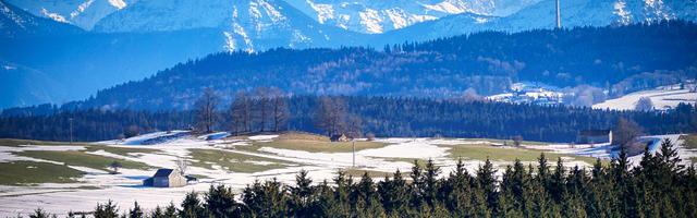 上門龍婿葉辰蕭初然_第94章 雷來！