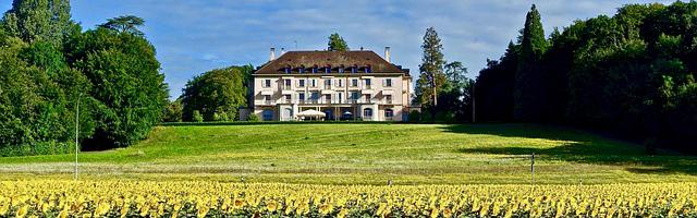 上門龍婿葉辰蕭初然_第3121章 死也要拉上你一起