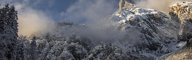 上門龍婿葉辰蕭初然_第62章 給我往死里打！