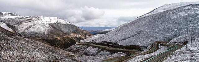 上門龍婿葉辰蕭初然_第2970章 得手