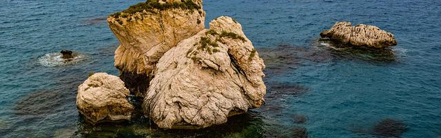 上門龍婿葉辰蕭初然_第3238章 將她一軍