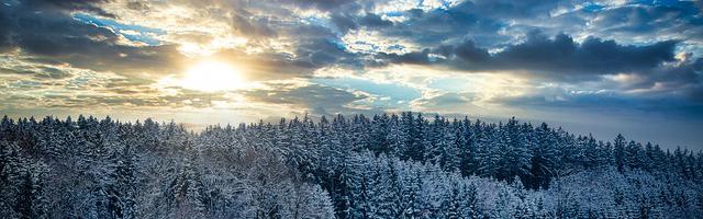 上門龍婿葉辰蕭初然_第2291章 不要留下遺憾