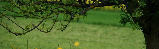 上門龍婿葉辰蕭初然_第2822章 窗口期