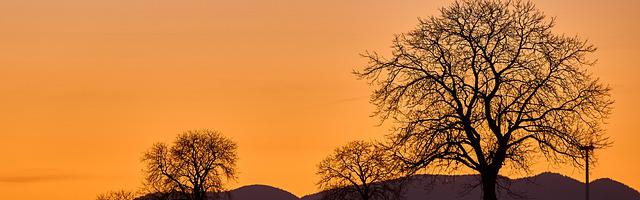 上門龍婿葉辰蕭初然_第3140章 打他全家的主意