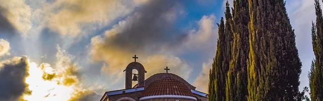 上門龍婿葉辰蕭初然_第344章 一顆回春丹