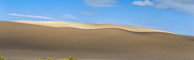 上門龍婿葉辰蕭初然_第1015章 胳膊肘往外拐