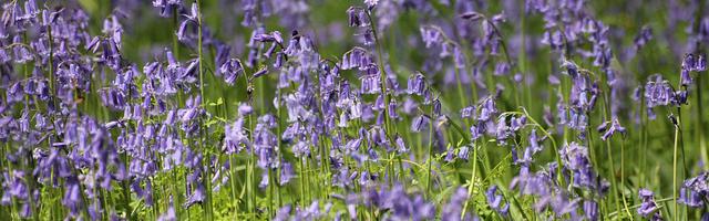 上門龍婿葉辰蕭初然_第3283章 敗家娘們兒