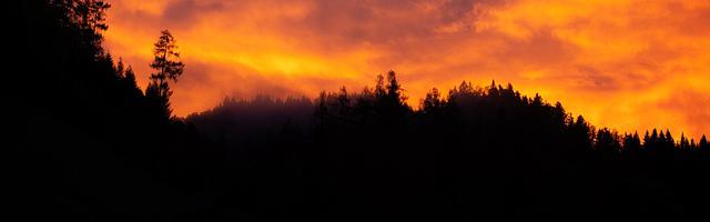 上門龍婿葉辰蕭初然_第126章 你破產了