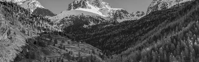 上門龍婿葉辰蕭初然_第3175章 落袋為安