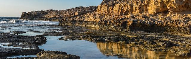 上門龍婿葉辰蕭初然_第24章 不知死活的東西