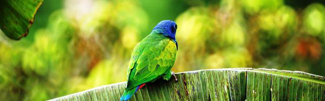 上門龍婿葉辰蕭初然_第3009章 背后有高人