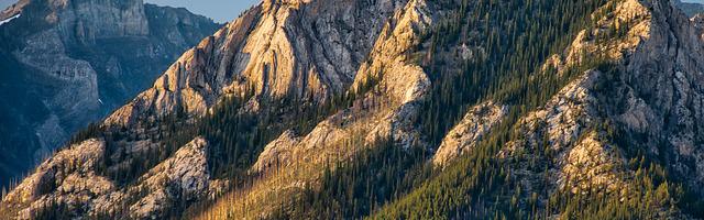 上門龍婿葉辰蕭初然_第301章 殺豬盤