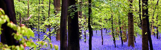 上門龍婿葉辰蕭初然_第3070章 彎道超車