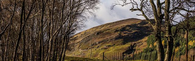 上門龍婿葉辰蕭初然_第3129章 臭了就臭了