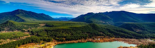 上門龍婿葉辰蕭初然_第234章 秦傲雪的請求