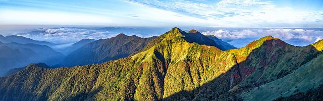 上門龍婿葉辰蕭初然_第564章 以后天天去偷！