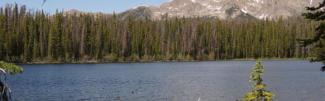 上門龍婿葉辰蕭初然_第206章 放鴿子了？