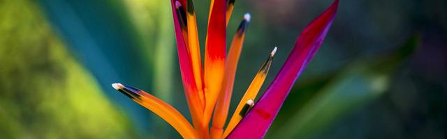 上門龍婿葉辰蕭初然_第3041章 老頭子要顯卡干嘛？