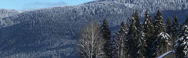 上門龍婿葉辰蕭初然_第3180章 我陪你去