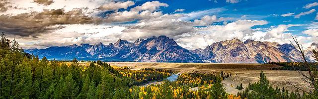 上門龍婿葉辰蕭初然_第21章 他是董事長？