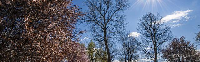 上門龍婿葉辰蕭初然_第23章 獻殷勤