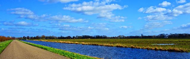 上門龍婿葉辰蕭初然_第2633章 來找您報恩！