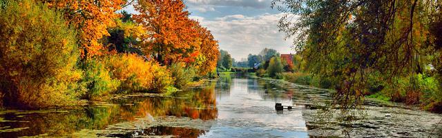 上門龍婿葉辰蕭初然_第3282章 心狠手辣