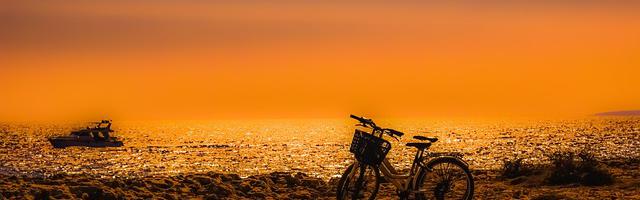 上門龍婿葉辰蕭初然_第2601章 換換劇本