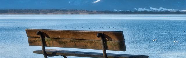 上門龍婿葉辰蕭初然_第520章 你罪該萬死！